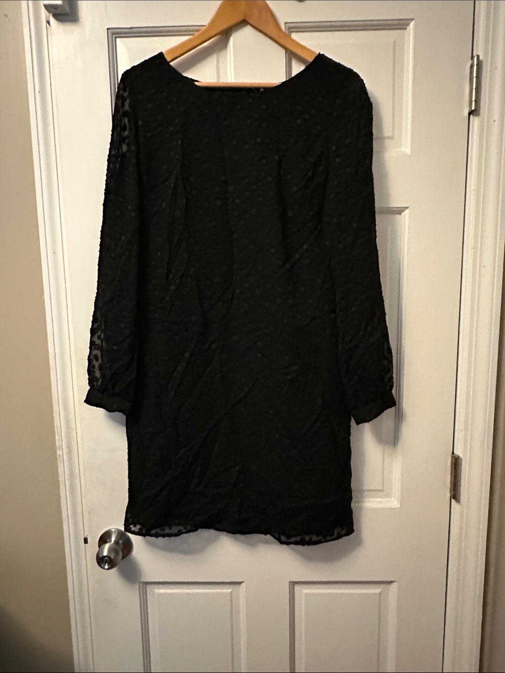Ann Taylor Black Sheer Swiss Dot Long Sleeve Dress - Picture 2 of 6